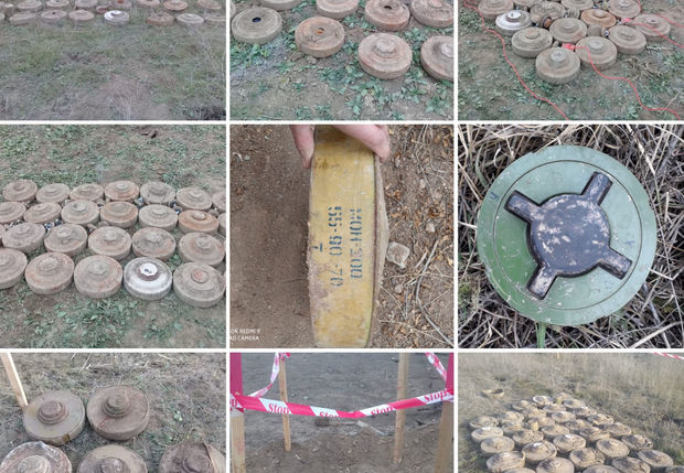ANAMA: В прошлом году в результате взрывов мин и боеприпасов погибли шесть человек - ФОТО